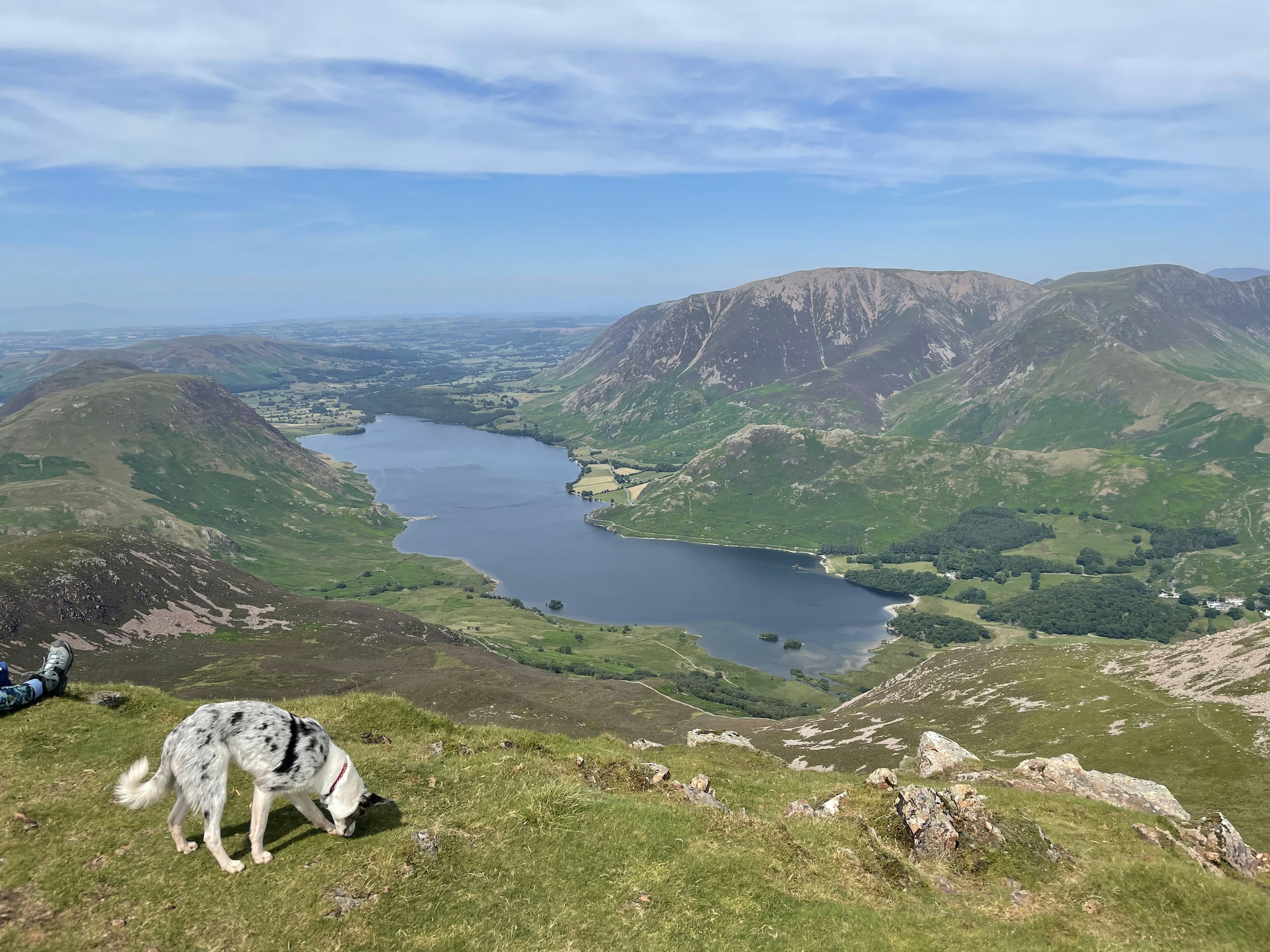 Joey and Crummock Water from Red Pike
